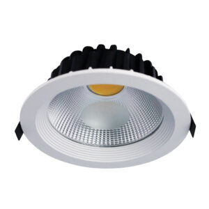 Round LED Recessed Downlight 12 Watts