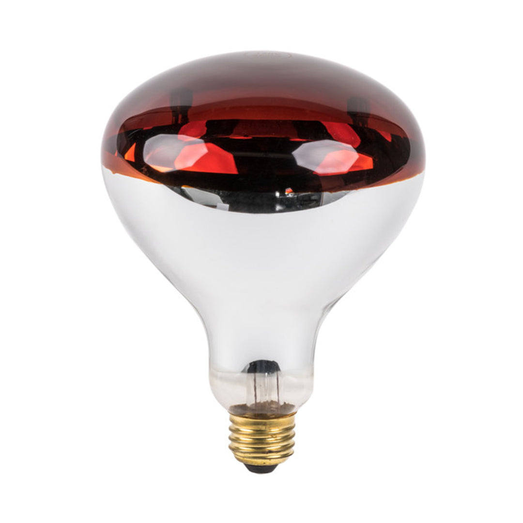 250 Watts Infrared Bulb