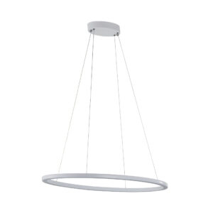 Circular LED Pendant Light