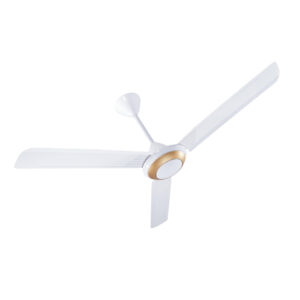 Ceiling Fan Golden Ring 56 Inch With Regulator
