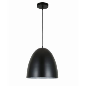 Black Dome Pendant Light
