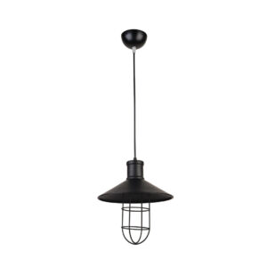 Black Vintage Pendant Glass Cage Light
