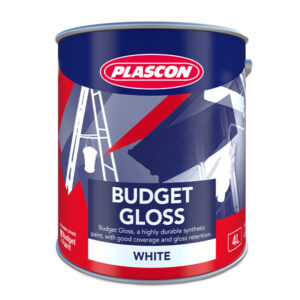 Budget Gloss White Paint – PLASCON