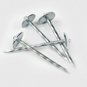 Ceiling Nails (Clout Nails)