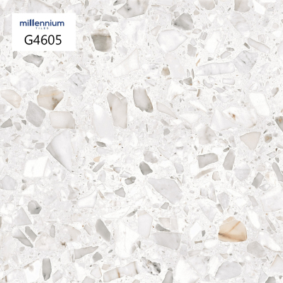 Floor Tiles G4605