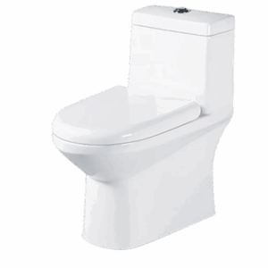 Generic one-piece Toilet