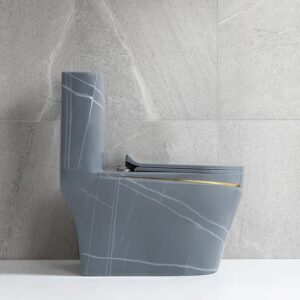 Grey WC Toilet