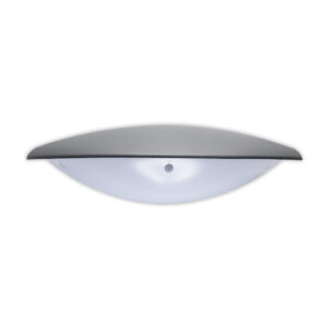 LED Halfmoon Wall Light