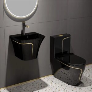 Luxury WC Black EM719C