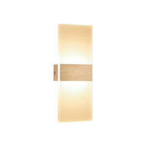 Modern Acrylic Wall Light