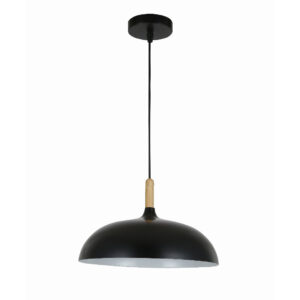 Modern Pendant Light