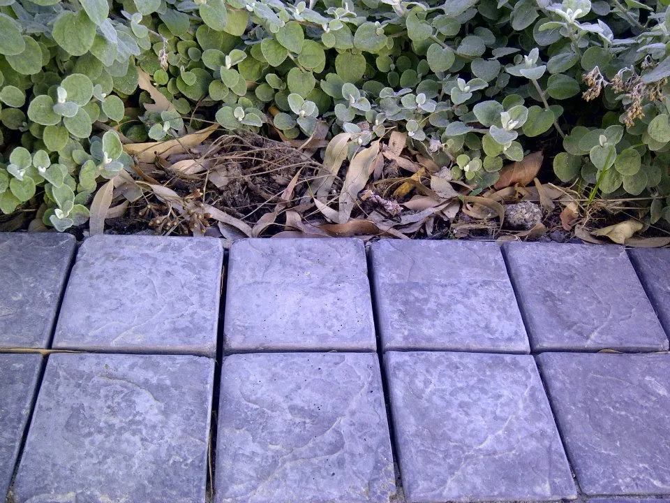 Slate Cobbles Paver Blocks 100mm x 100mm x 50mm10