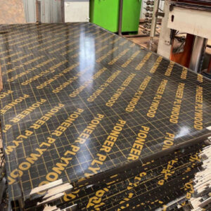 Standard Marine Board