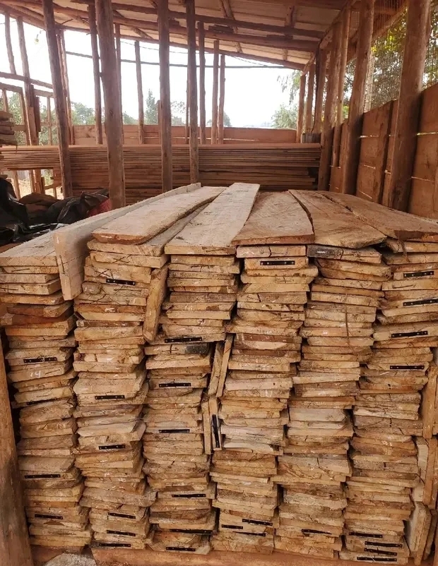 Timber 10x1 Soft Wood