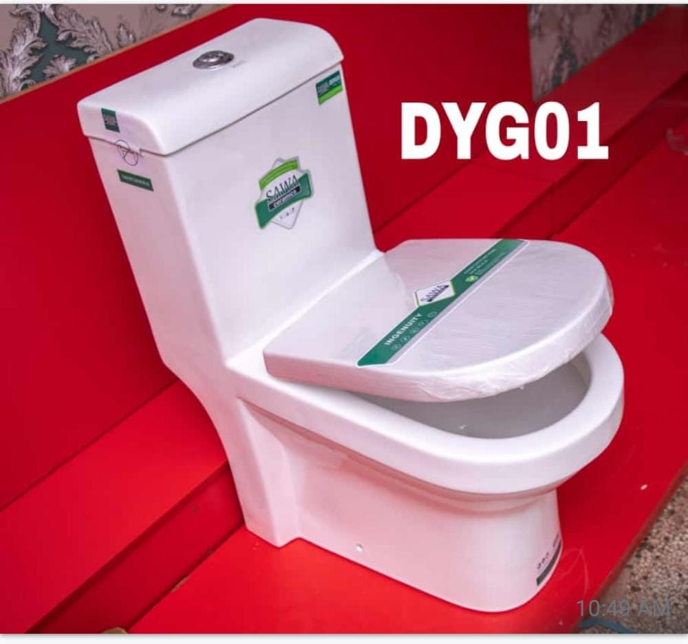 Toilet DYG 01