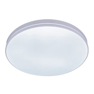 Simple LED Changeable (3 Shades) Ceiling Light
