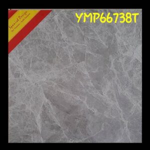 Twyford floor tiles ( 400 mm * 400mm ) ( 25 * 40 ) cm