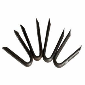 U-Nails (Common Nails)